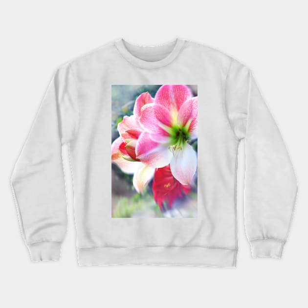 Atmospheric Amaryllis Crewneck Sweatshirt by RoxanneG